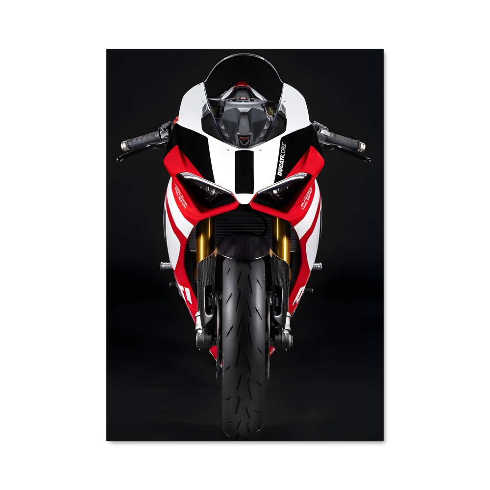 Poster superbe Panigale